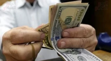 سعر الصرف اليوم.. استقرار ملحوظ في قيمة الدولار أمام الجنيه بالبنوك المصرية